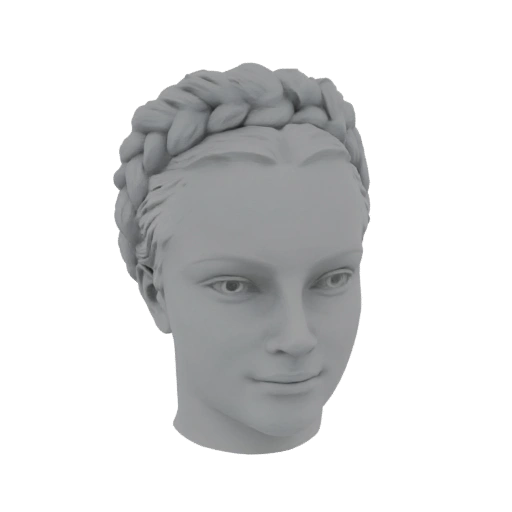 Braided Hairstyle Head Bust