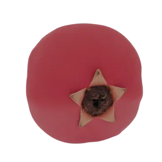 Vista dall'alto di un modello 3D stilizzato di un melograno rosso con un prominente calice a forma di stella marrone chiaro.