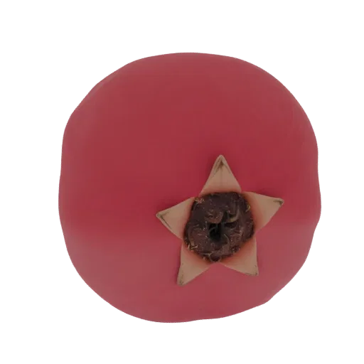 Vista dall'alto di un modello 3D stilizzato di un melograno rosso con un prominente calice a forma di stella marrone chiaro.