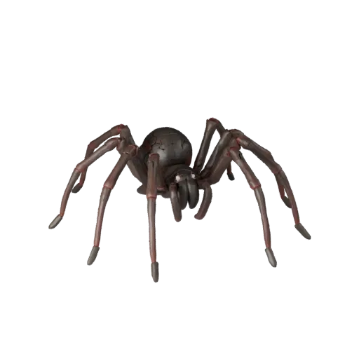 Black Widow Spider 3D Model for Blender - PBR Asset with Textures