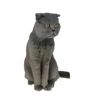 Modelo 3D de um gato Scottish Fold cinza sentado com as orelhas dobradas e olhando para o lado.