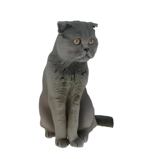 Modelo 3D de un gato Scottish Fold gris sentado con las orejas plegadas y mirando a un lado.