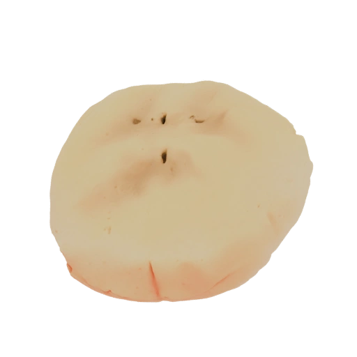 Freeze-Dried Banana Slice 3D Model