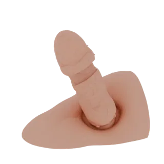 Modèle 3D réaliste de phallus avec texture de peau détaillée, posé sur une base plate.