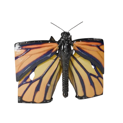 Modello 3D realistica farfalla monarca, rendering naturalistico di lato, asset animale stilizzato con separazione del torace,