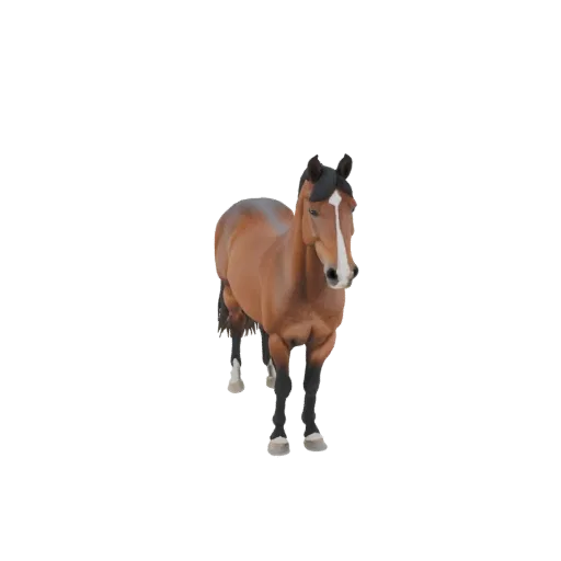 A realistic 3D model of a brown horse standing, featuring a white blaze on its face and detailed mane and tail.