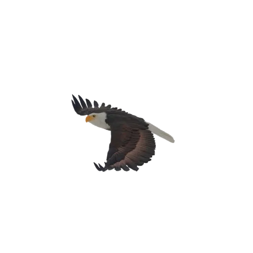 A detailed 3D model of a bald eagle in mid-flight, with wings spread wide and head turned slightly.