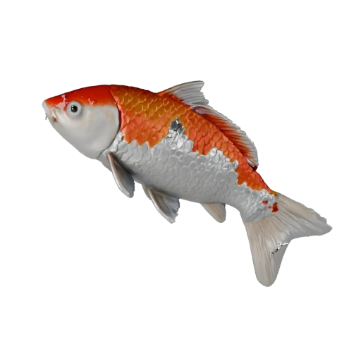 Modello 3D Realistico di Pesce Koi - Asset Rigged PBR per Giochi | PBR