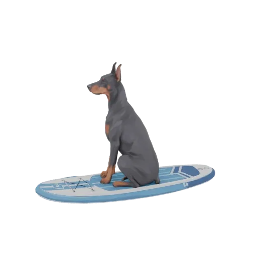 3D model of a Doberman Pinscher dog sitting on a blue and white paddleboard, viewed from the side.