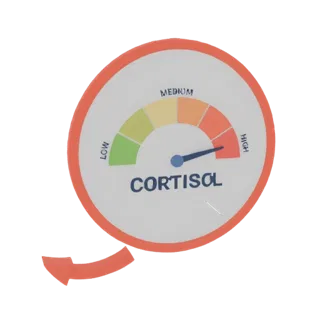 3D model of a cortisol level gauge with a red-orange rim, showing a needle pointing to the 'HIGH' stress level.