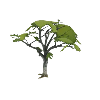 Modèle 3D d'un chêne stylisé avec des feuilles vertes texturées et un tronc brun rugueux, sur fond blanc.