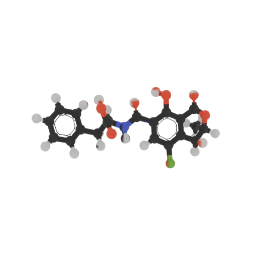Ochratoxin A Molecular Model