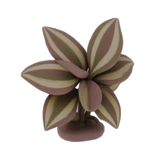 Modèle 3D d'une plante misère zébrée avec des feuilles rayées de violet et de vert, présenté sur fond blanc.