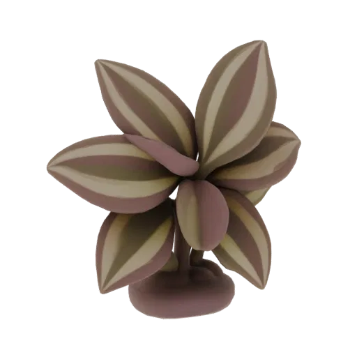 Modelo 3D de planta araña rayada con hojas moradas y verdes rayadas, mostrado sobre un fondo blanco.