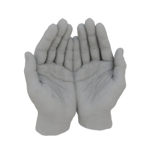 Open Hands 3D Model
