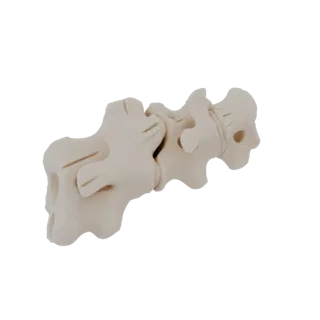 Modello 3D di un segmento di vertebre lombari, che mostra la struttura ossea dettagliata con finitura liscia e beige chiaro.
