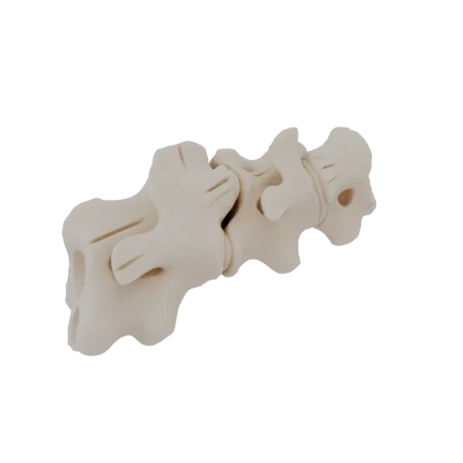Modello 3D di un segmento di vertebre lombari, che mostra la struttura ossea dettagliata con finitura liscia e beige chiaro.