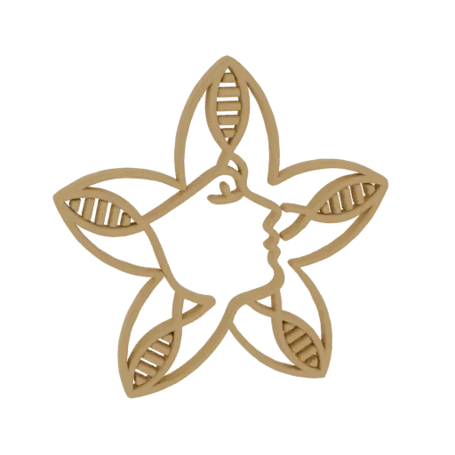 3D model of a wooden star ornament with an abstract face integrated into its design.