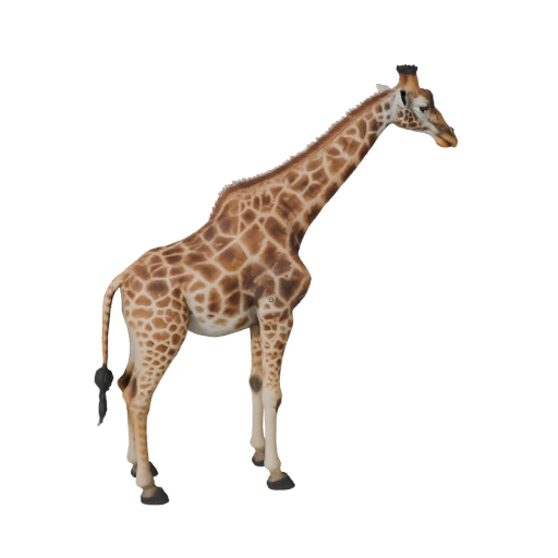 Modèle 3D de Girafe pour Unity - Actif prêt pour le jeu, FBX | Libre de droits