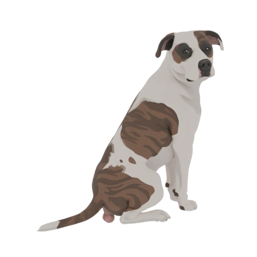 Brindle Pitbull Sitting