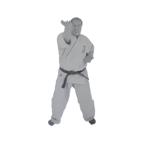 3D model of a Karate Master in a martial arts stance, wearing a gi and black belt, rendered in grayscale.