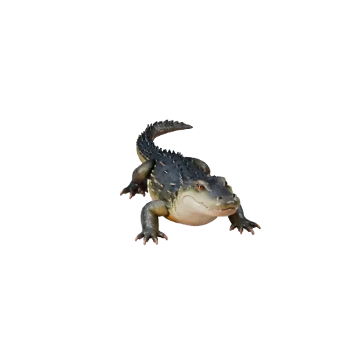 Cartoon Kaiman 3D-Modell, Seitenansicht Wildtier-Render, stilisiertes Tier-Asset mit Plattenschuppen, Augenwülsten, Klauenspi