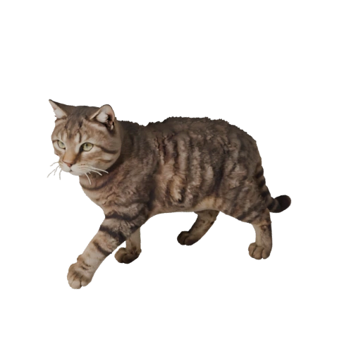 Modelo 3D Realista de Gato Ragdoll - Asset PBR Rigged para Jogos