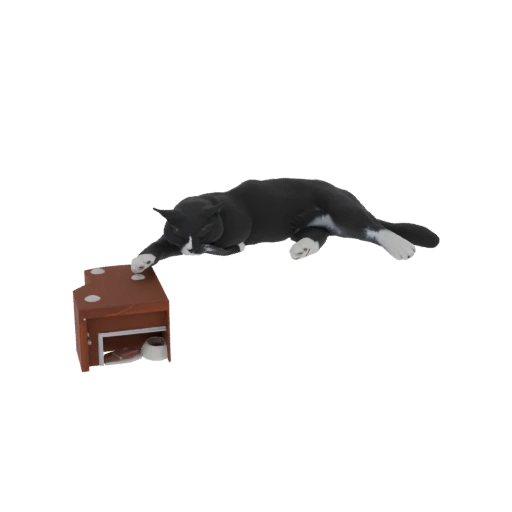 Tuxedo Cat Playing with Toy Box 3D Model