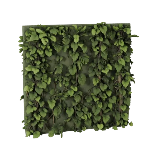 Jungle Vine Wall High Poly 3D model, close-up cinematic environment render, showing leaf clusters, terrain detail.