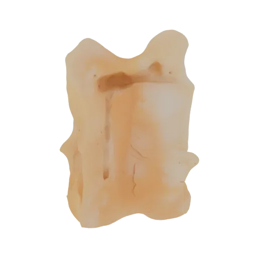 3D render of a pale brown bone fragment with a visible internal cavity, isolated on a black background.