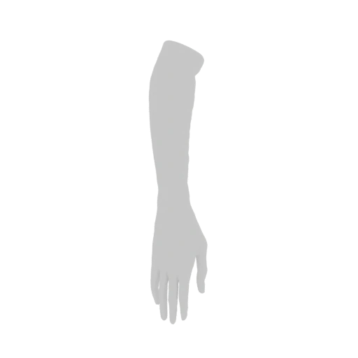 Human Arm 3D Model