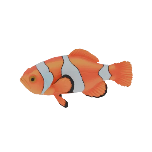 Modèle 3D de poisson-clown orange avec rayures blanches, tourné vers la gauche, sur fond blanc.