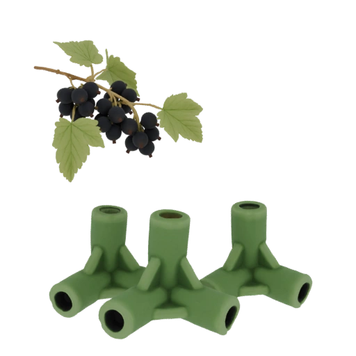 Blackcurrant Branch and 3-Way Connectors