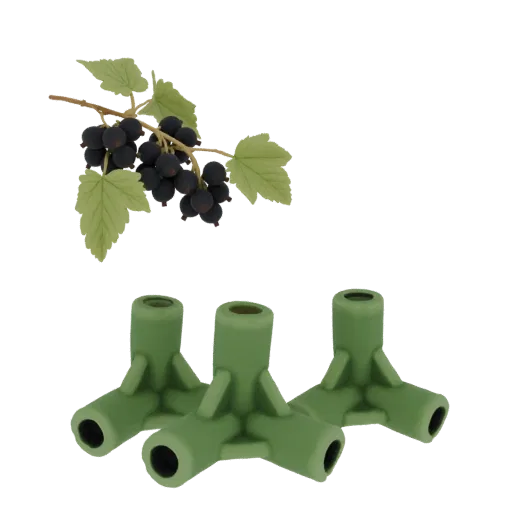 3D-Render eines Johannisbeere-Astes mit Beeren und Blättern, neben drei grünen 3-Wege-Rohrverbindern.