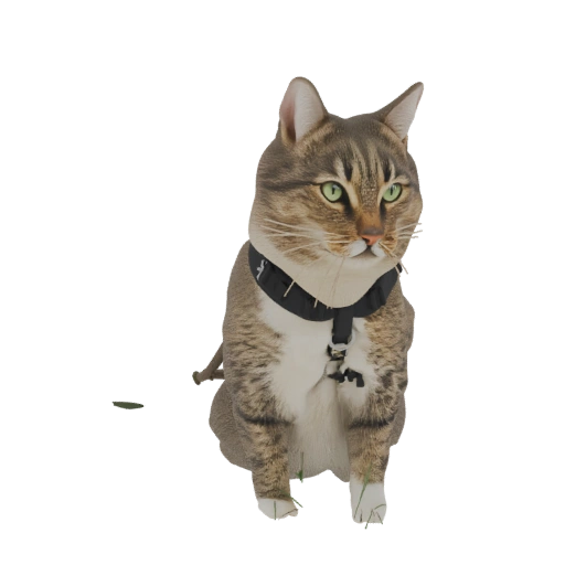 Tabby Cat with Harness 3D Model
