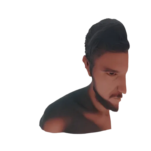 3D model of a man's bust with dark, intricately braided hair, viewed from the side with warm lighting.
