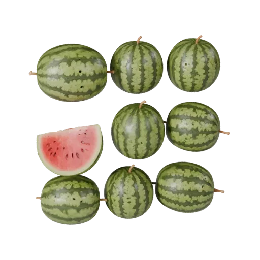 Watermelon 3D model, three-quarter front view, AR viewer studio render, showing skin pores, recognizable fruit forms.