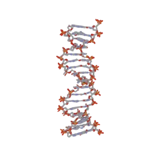 3D render of a DNA double helix structure against a black background, showing the twisted ladder shape with visible base pair