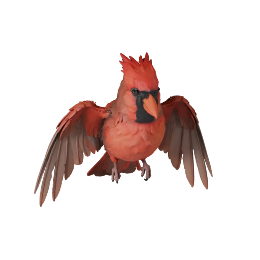 Modelo 3D de Cardenal Realista - Recurso PBR Rigged para Juegos | PBR