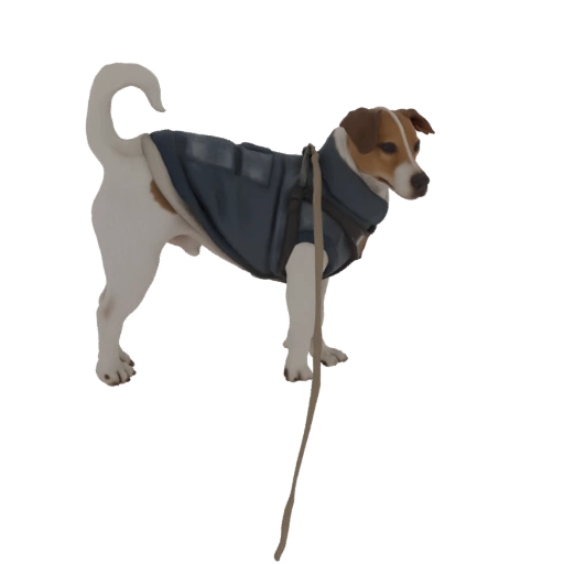 Jack Russell Terrier in Blue Vest 3D Model