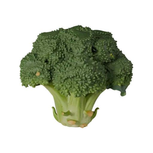 Market Broccoli Head High Poly 3D model, close-up studio render, showing leaf veins, clear vegetable silhouettes.