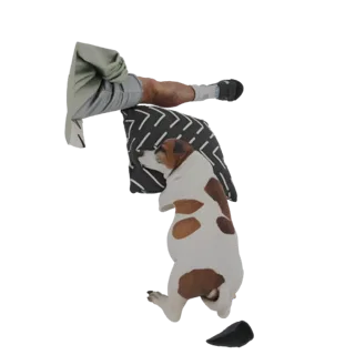 Modelo 3D de un perro Jack Russell Terrier blanco y marrón durmiendo plácidamente sobre un cojín estampado en blanco y negro.