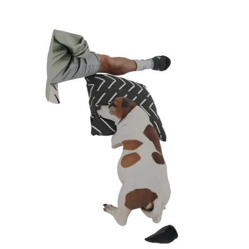 Modello 3D di un cane Jack Russell Terrier bianco e marrone che dorme beatamente su un cuscino fantasia bianco e nero.
