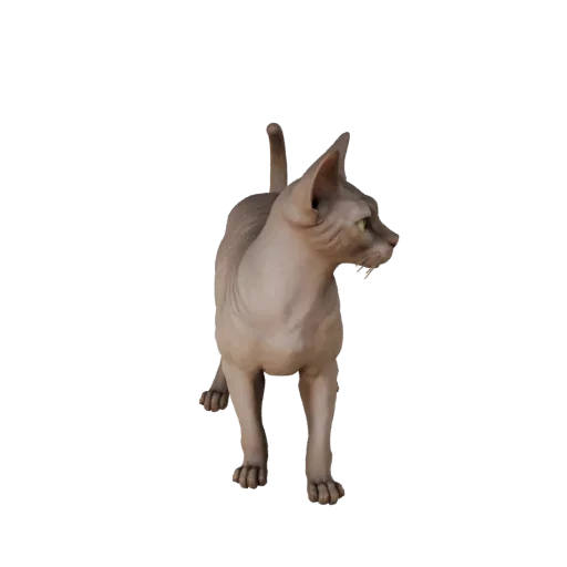 Low Poly Sphynx Cat 3D Model - Unity Game Asset with FBX | PBR