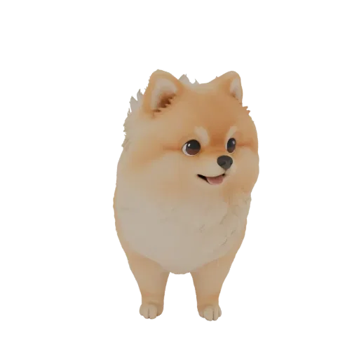 Modèle 3D de Spitz Pomeranian, debout et regardant devant avec une expression amicale.