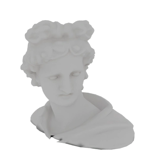 Classical Bust of a Young Man