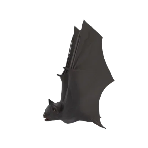 A 3D model of a dark-colored bat with its wings spread wide, captured in a dynamic mid-flight pose against a white background