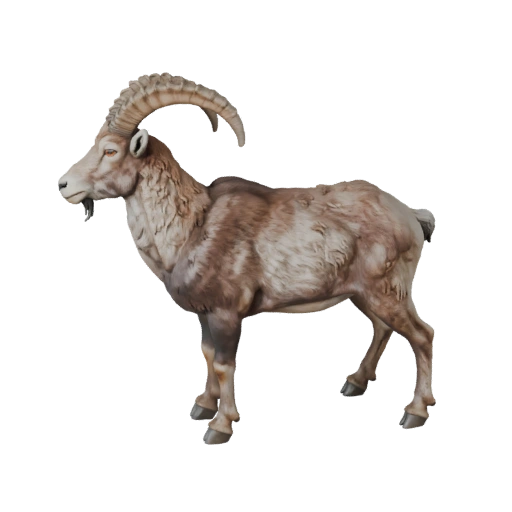 Bouquetin réaliste Modèle 3D - Actif PBR Riggué pour Jeux | Libre de droits
