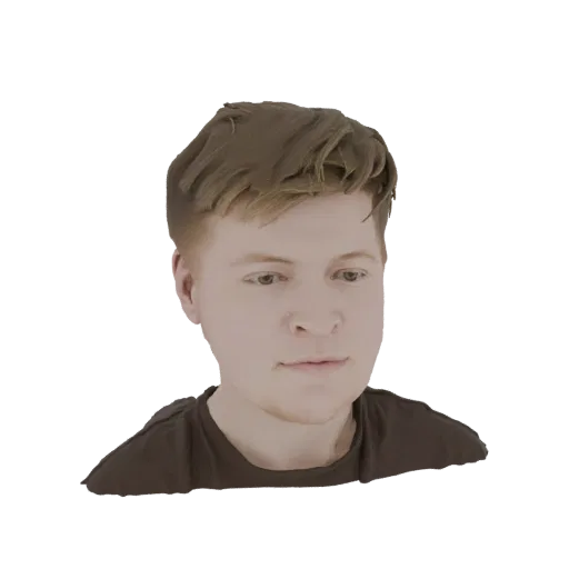3D model render of a young man's bust with short brown hair, wearing a dark brown t-shirt.