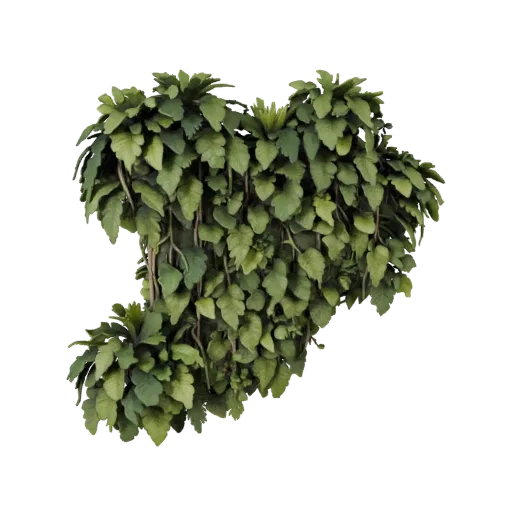 Jungle Vine Wall Unity 3D model, isometric viewport view, showing leaf clusters, layered vegetation clusters.